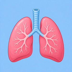 Lungs