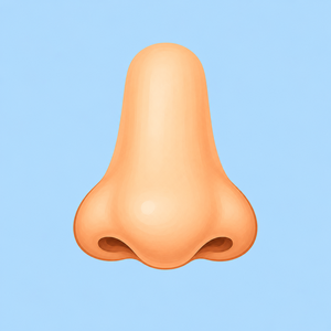 Nose