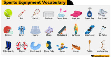 Sports Equipment Vocabulary in English – Enhance Your Word Knowledge