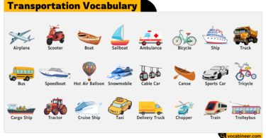 Transportation Vocabulary in English – Learn Transport Words