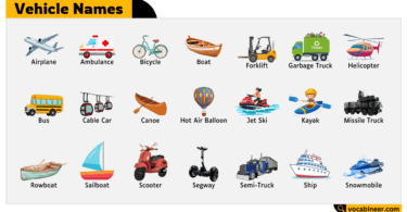 Vehicle Names in English – Learn Common Transport Types