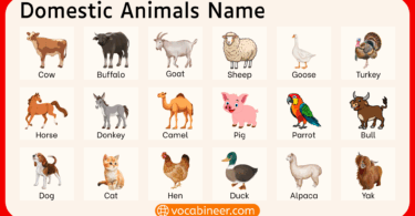 100 Domestic Animals Name in English with Pictures