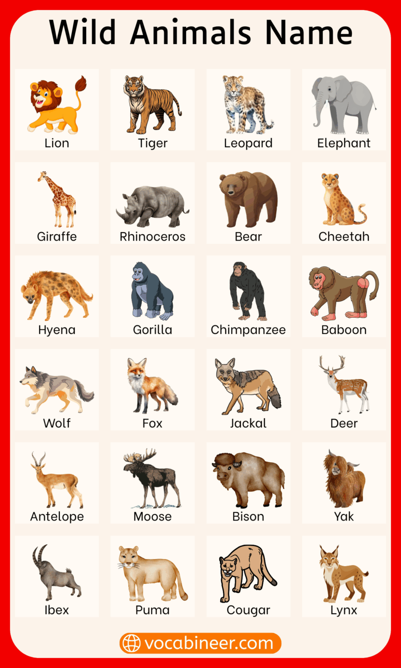 100 Wild Animals Name In English With Their Pictures 100 Wild Animals Name In English With Their Pictures