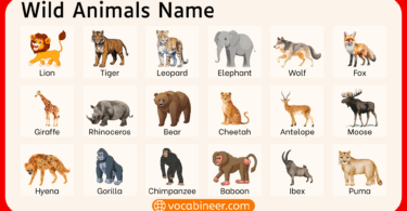 100 Wild Animals Names in English with Pictures and Facts