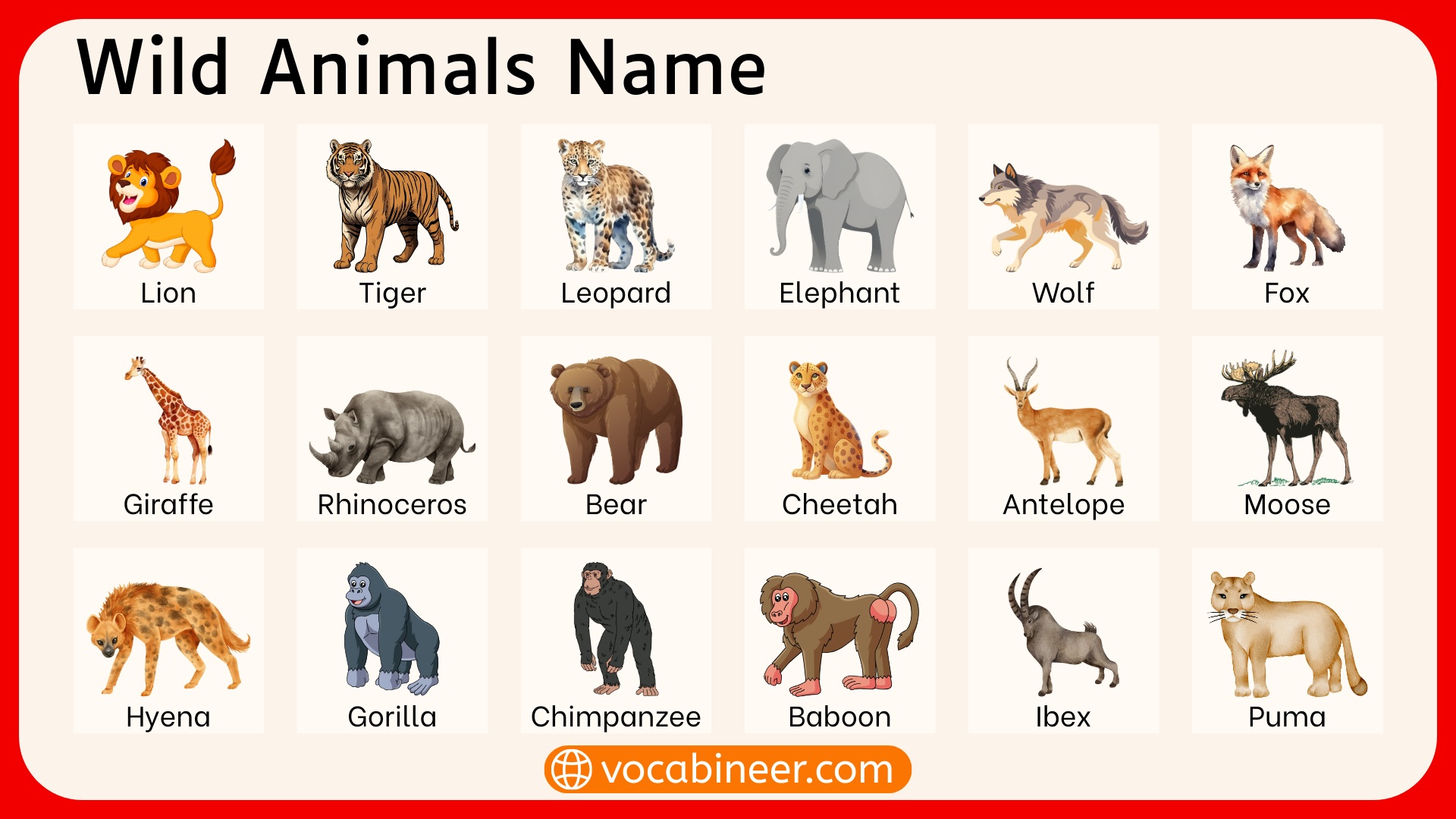 Wild Animal Images With Names Wild Animal Images With Names