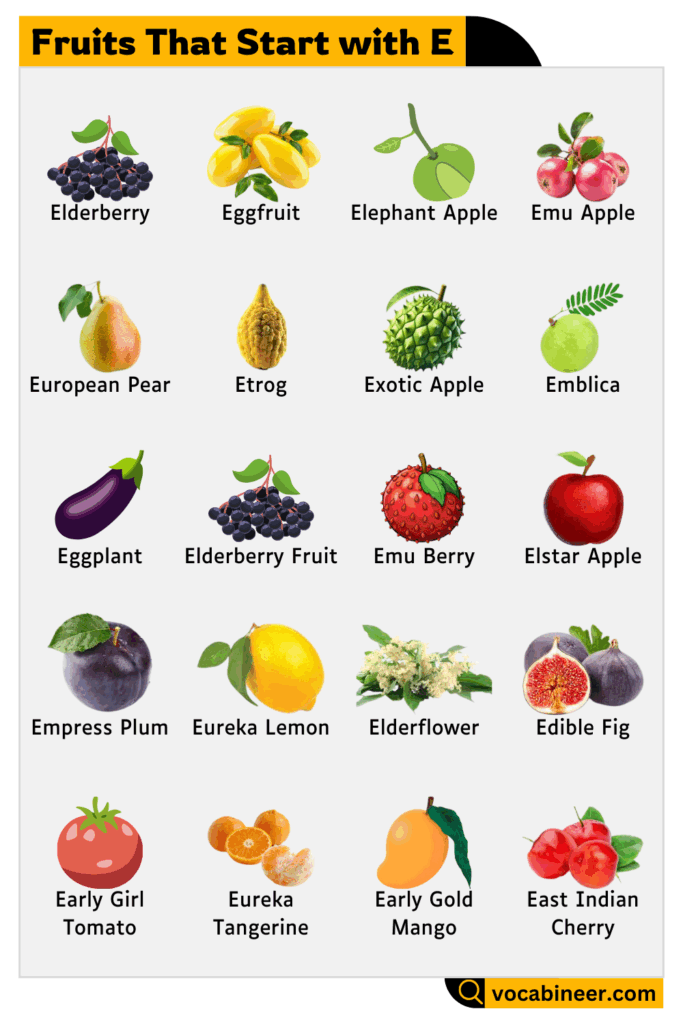 Name of fruits that start with letter E