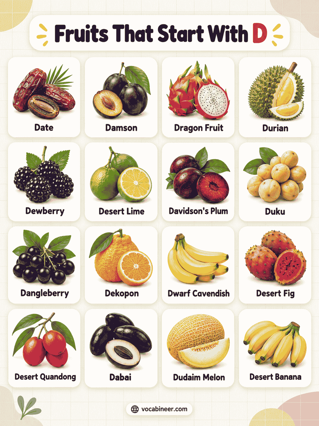 25 Fruits Beginning With D: Names, Pictures, and Meanings