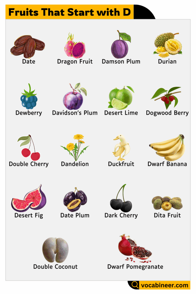 25 Fruits that Start with Letter D in English with Pictures