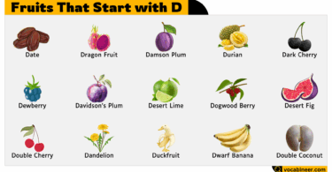 25 Fruits that Start with Letter D in English with Pictures