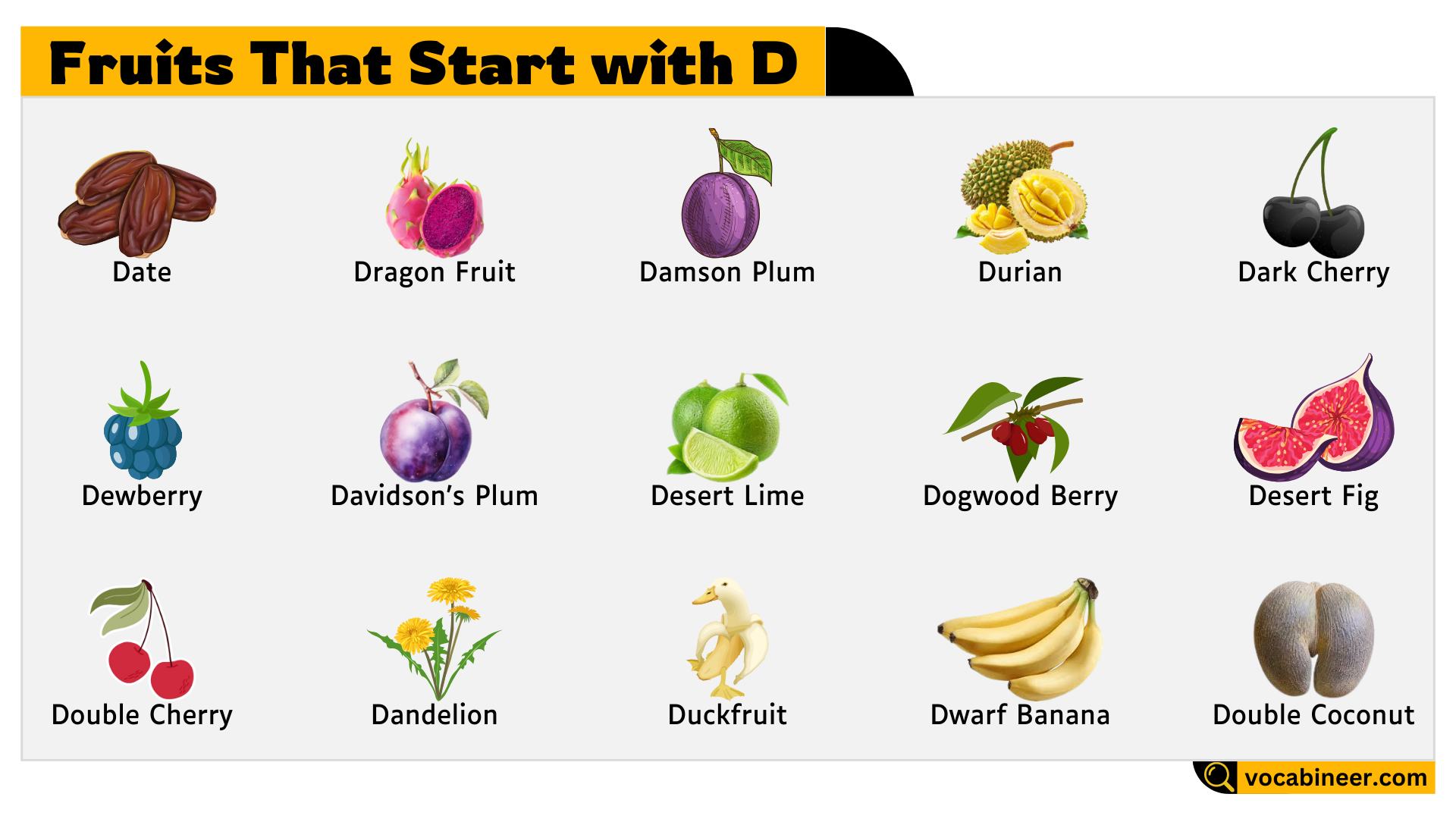 25 Fruits that Start with Letter D
