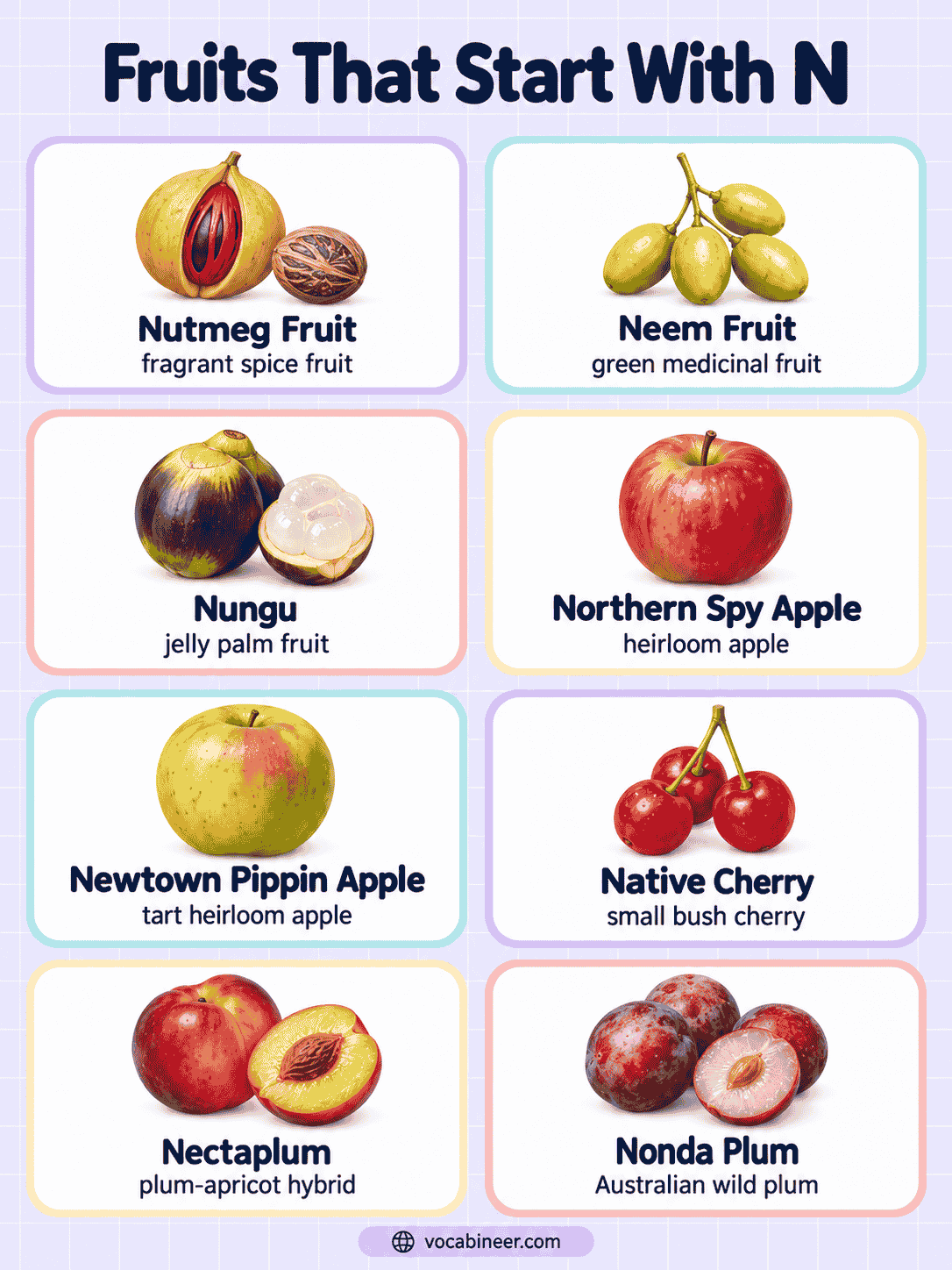 28 Fruits That Start With N With Names and Pictures