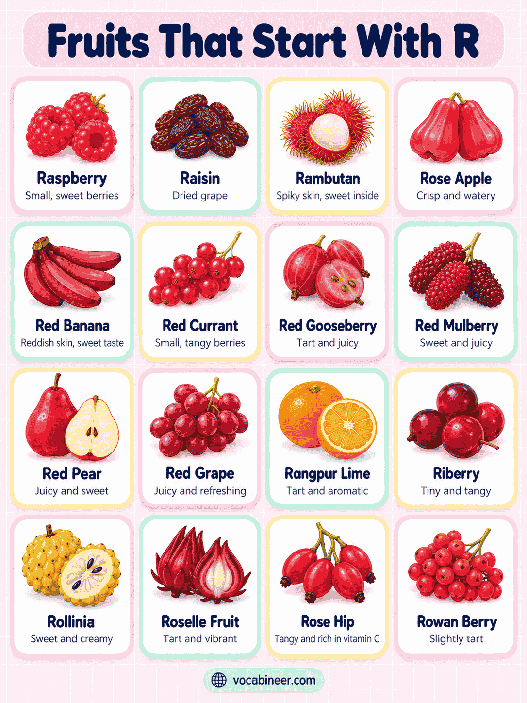 28 Fruits That Start With R With Names and Pictures