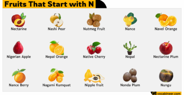 28 Fruits That Start with Letter N