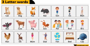 3 Letter Words List of 200 Three Letter Words Examples