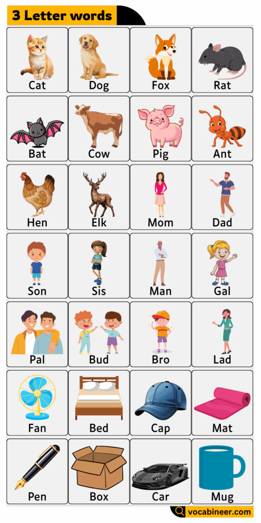3 Letter Words in English with Examples