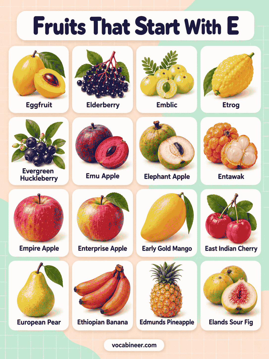 30 Fruits Starting With E From Around the World