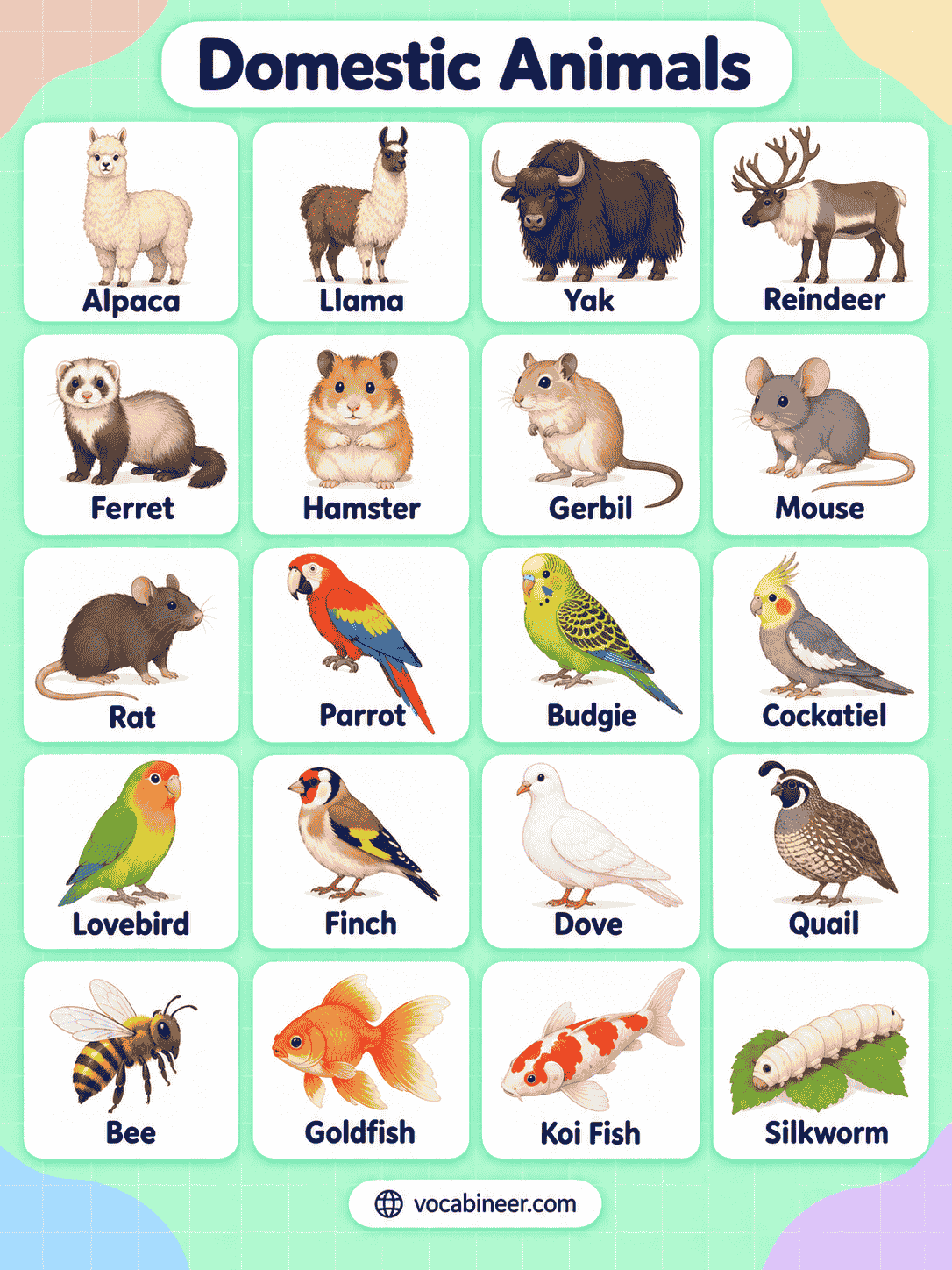 Domestic Animals List with Names and Pictures
