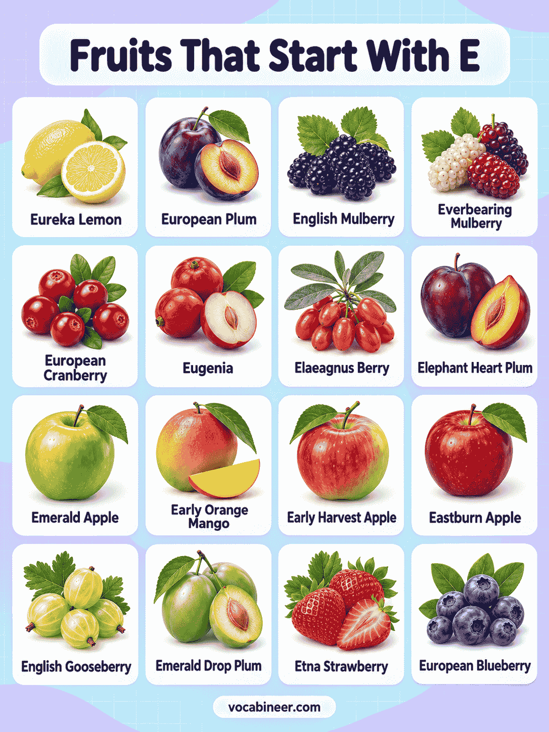 E Fruits List: 30 Names With Pictures