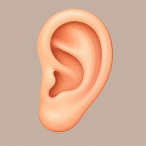 Ear