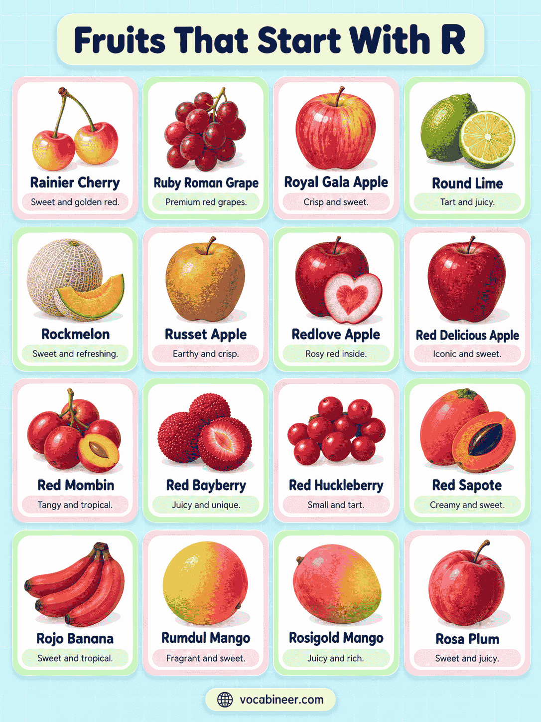 Fruits Beginning With R With Pictures