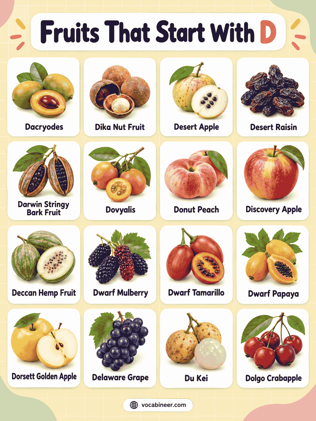Fruits That Start With Letter D: Complete List
