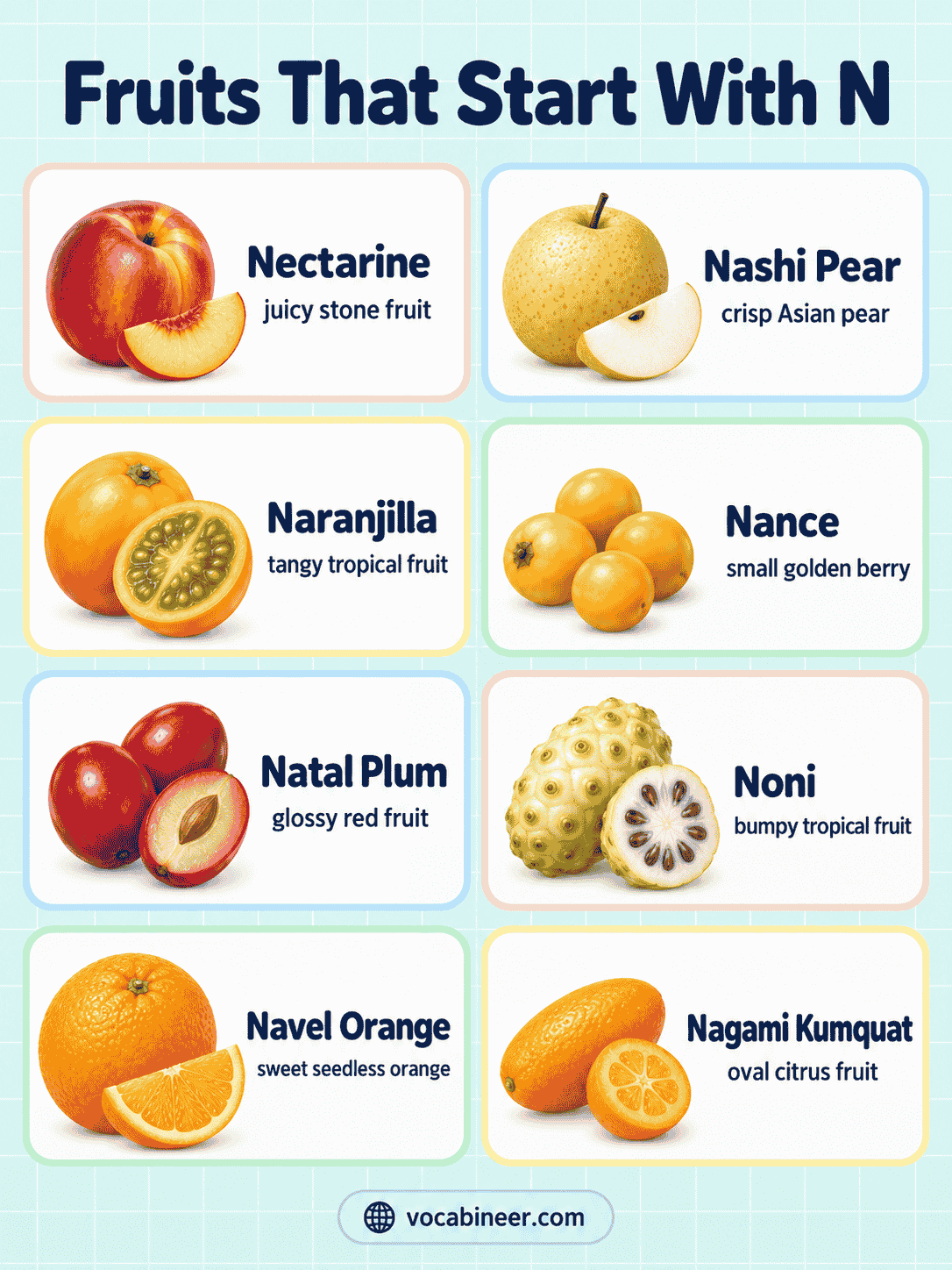 Fruits That Start with N List: 28 Fruit Names With Pictures