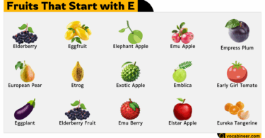 30 Fruits that Start with Letter E
