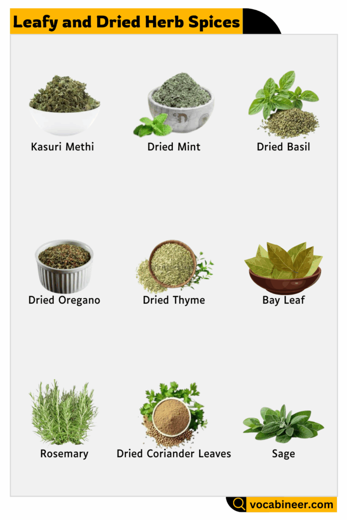 Learn Leafy and Dried Herb Spices Names in English