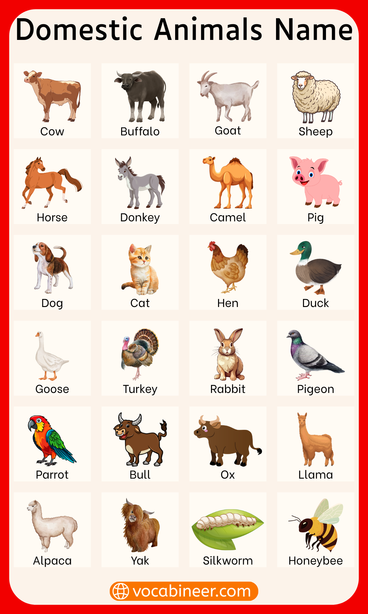 List of Domestic Animals Names with Pictures