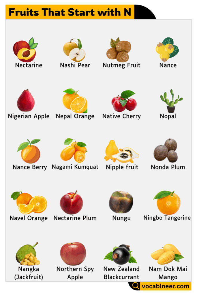Name of fruits that start with letter N