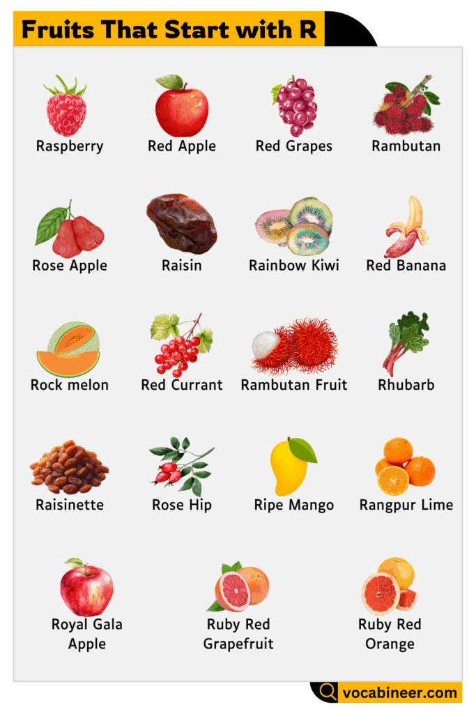 Name of fruits that start with letter R