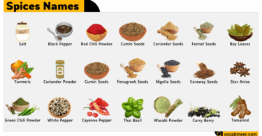 Learn All Spices Names in English