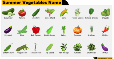 30 Summer Vegetables Name in English with Pictures