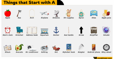 Things that Start with Letter A in English