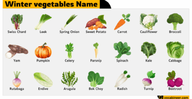 Winter Vegetables Name with Picture
