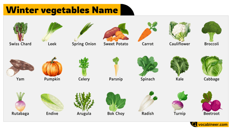 Winter Vegetables Name with Picture