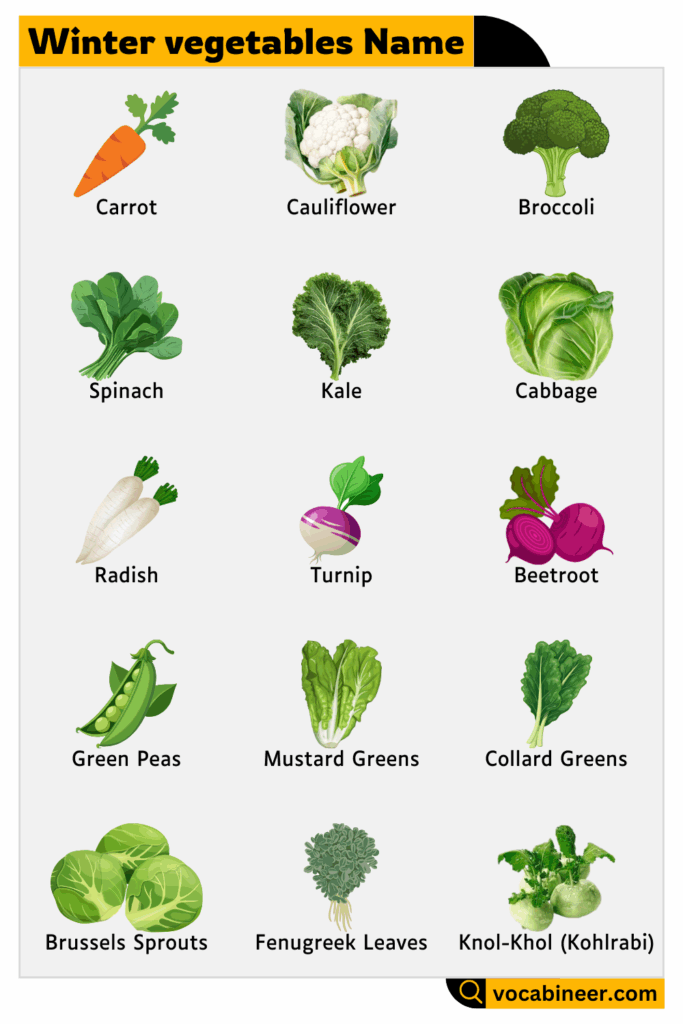 Winter Vegetables Name in English with Picture