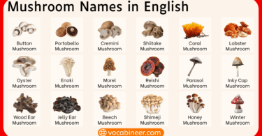 100 Common Types of Mushrooms Names with Pictures
