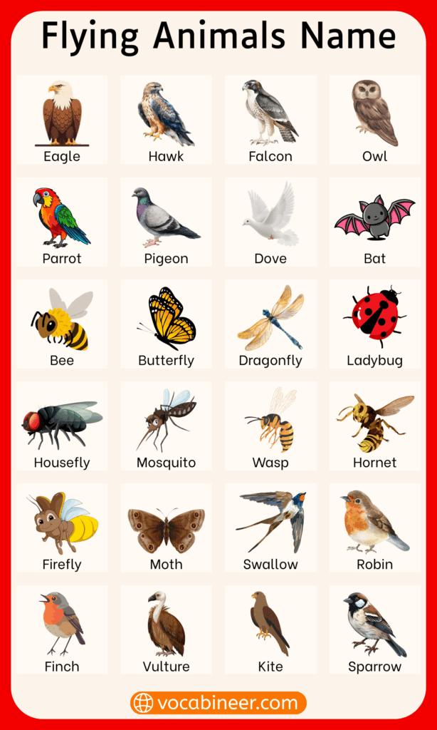100 Flying Animals Names in English (Birds, Insects, Mammals )