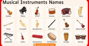 100 Musical Instruments Names in English with Pictures