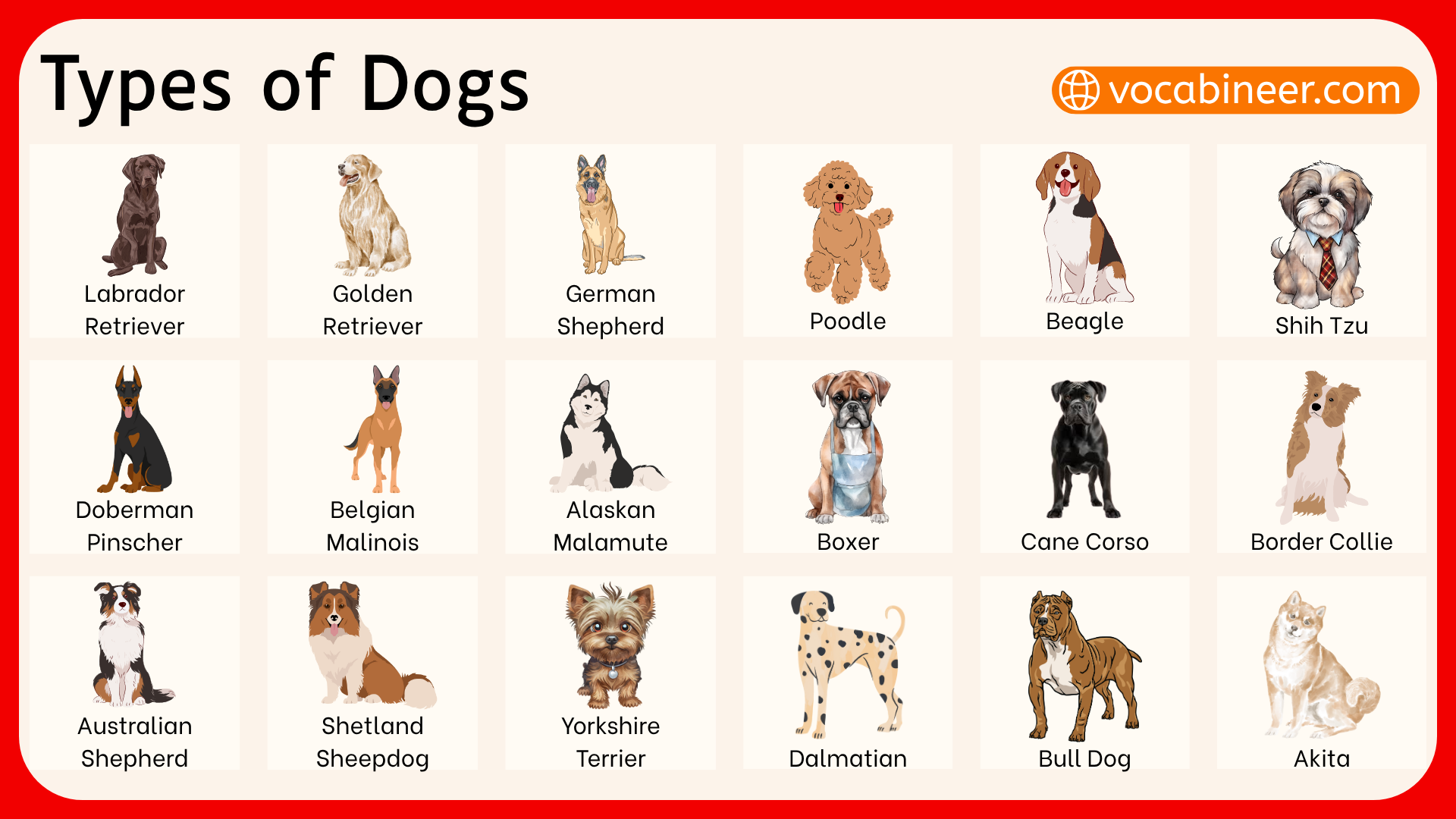 100 Types Of Dogs Breed Names With Pictures