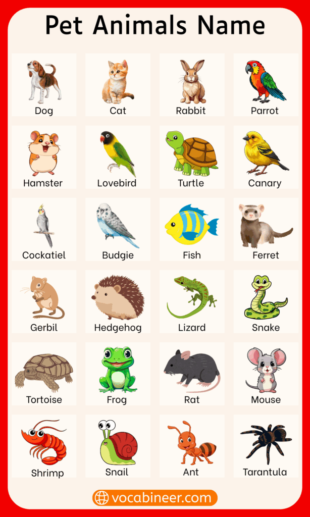 100 Pet Animals Name with Picture