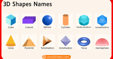 3D Shapes Names in English with Examples and Pictures