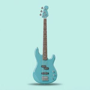 Bass Guitar