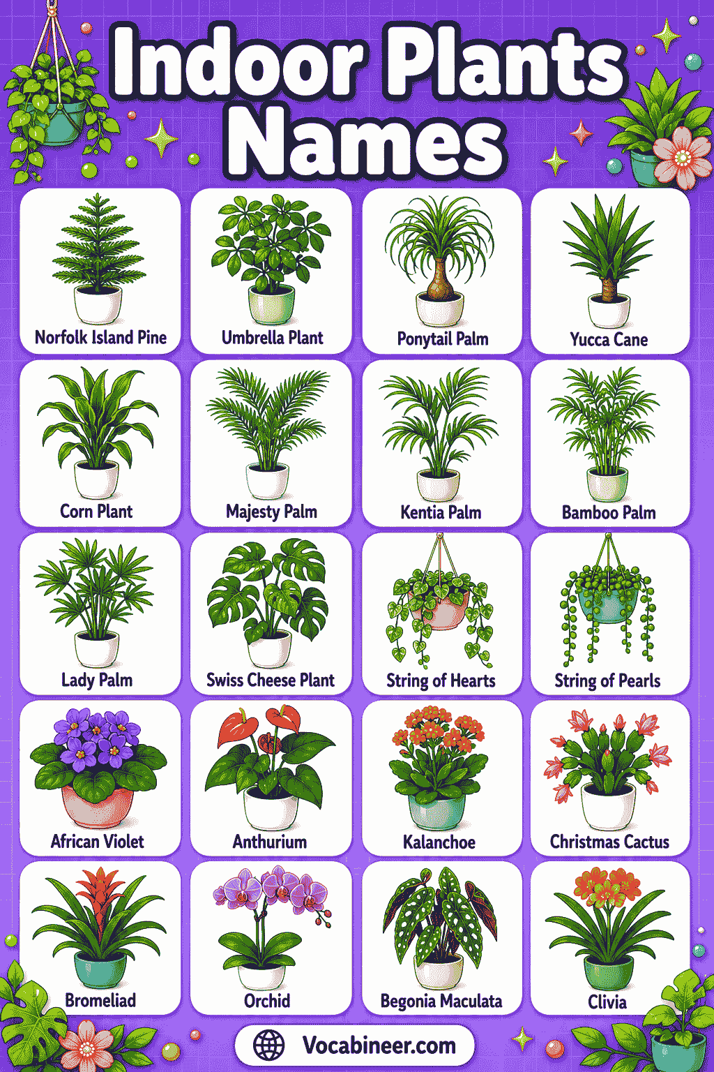 A visual indoor plant chart showing common houseplants with names, including Snake Plant, Pothos, Spider Plant, Peace Lily, ZZ Plant, Monstera, Philodendron, Rubber Plant, Aloe Vera, and Jade Plant.
