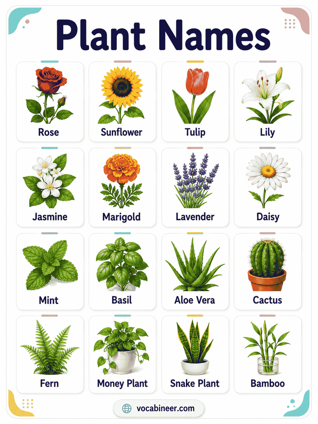 Common Plant Names With Pictures