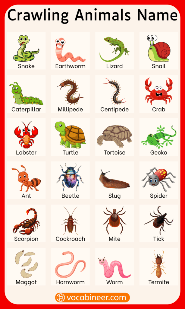 Crawling Animals Chart with Names