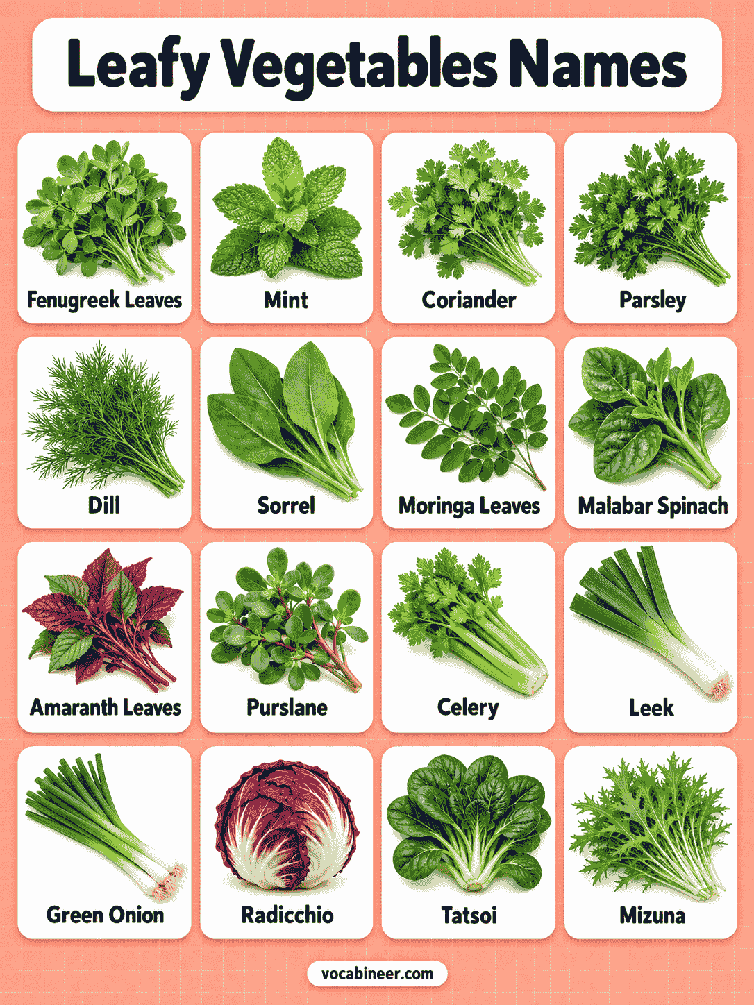 Green Leafy Vegetables With Names and Pictures