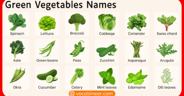 Green Vegetables Names in English with Pictures