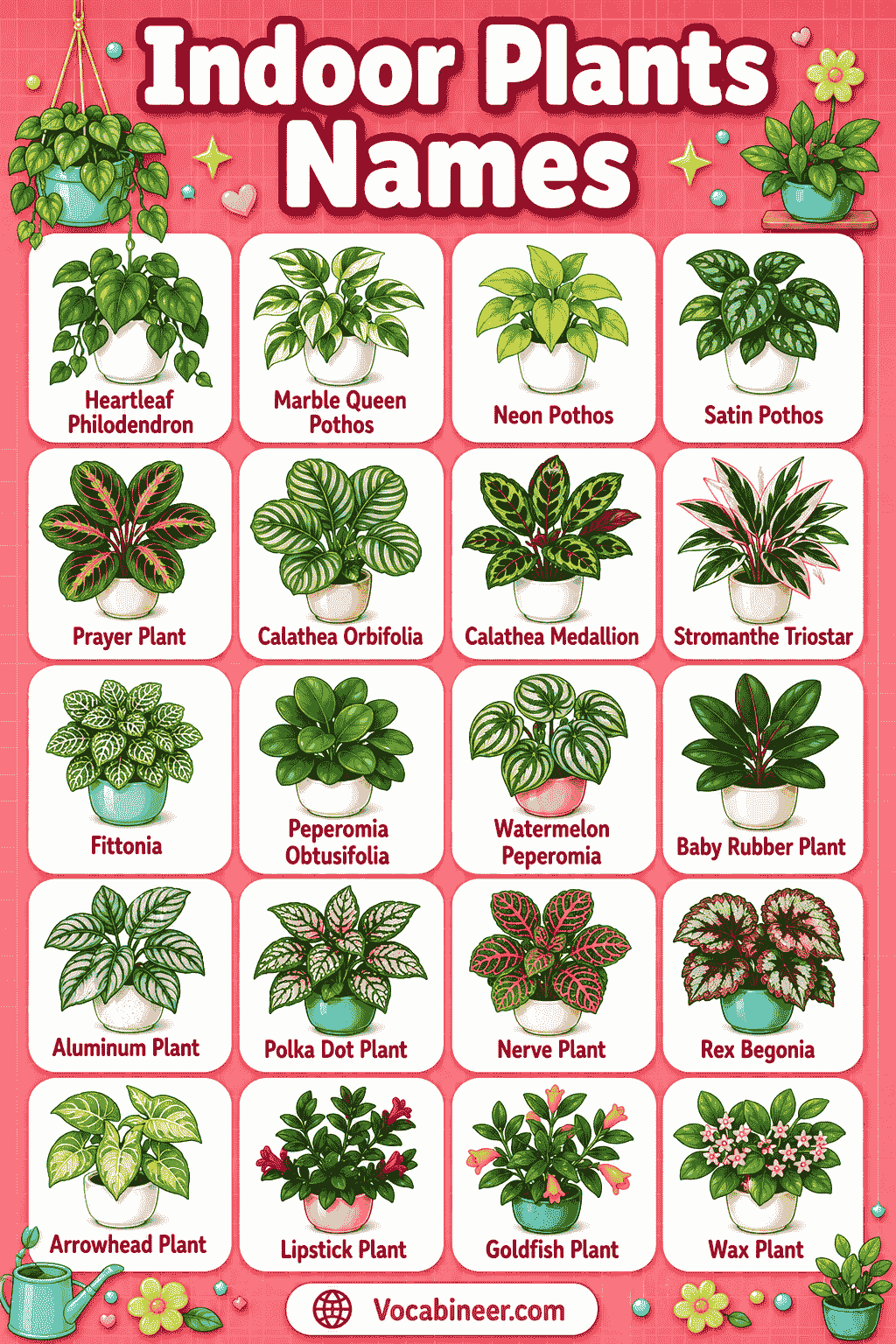 Indoor Plants Vocabulary Chart with Pictures